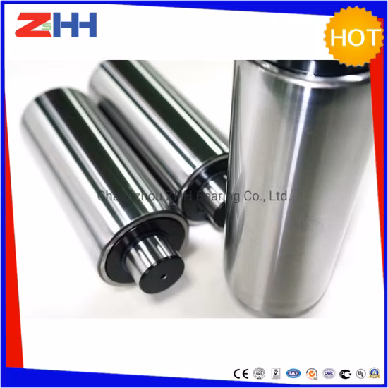 300-0028/300-0029/300-0030/300-0031/300-0032 Cojinete de rodillos de respaldo Libe